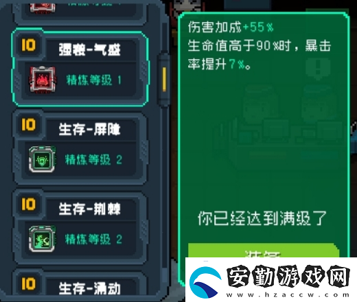 元?dú)怛T士全18芯片滿級(jí)介紹