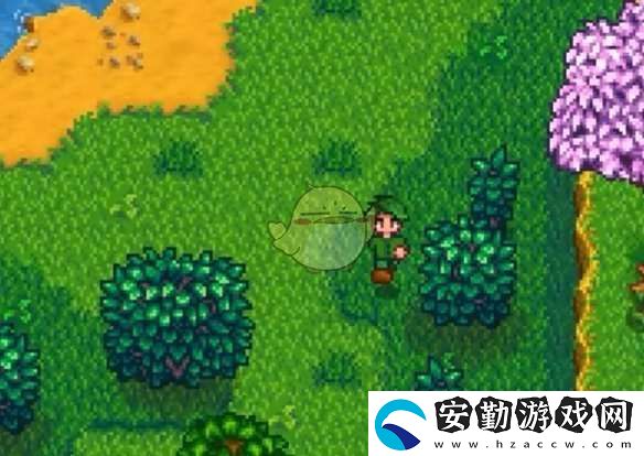 星露谷物語(yǔ)羅賓丟失的斧子任務(wù)怎么做