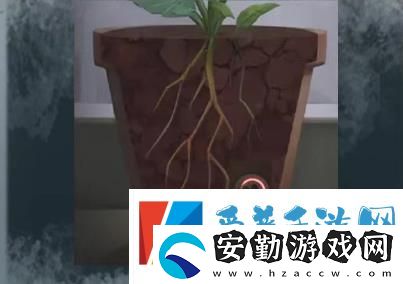 如月車站第四章怎么過(guò)