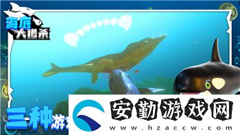 月影別墅男主資料簡(jiǎn)介
