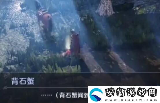 黑色沙漠華麗的空殼