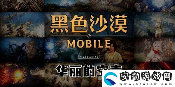 黑色沙漠華麗的空殼