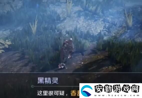 黑色沙漠華麗的空殼