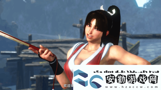 各版本女忍者