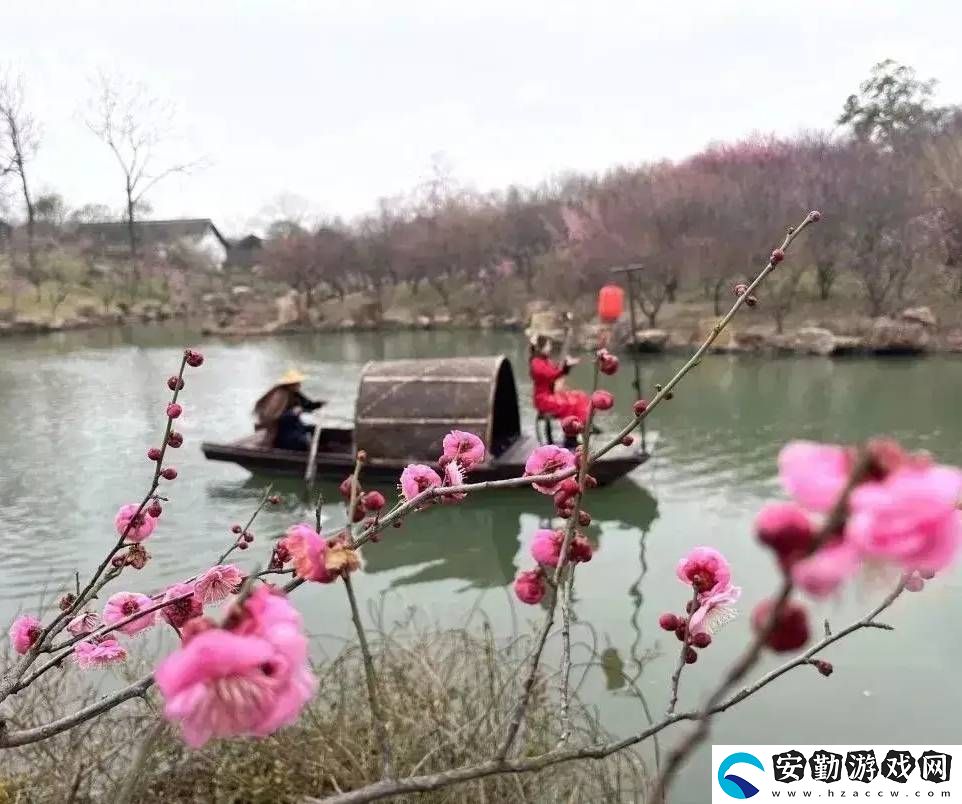 中國民企創(chuàng)新力爆棚