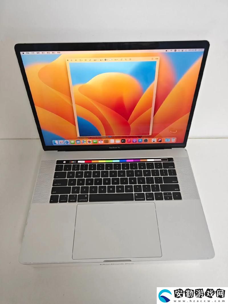 18歲macbookproggshhssd