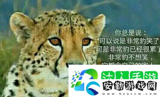 你不知道你不在乎你只關(guān)心你自己是什么梗網(wǎng)絡(luò)用語