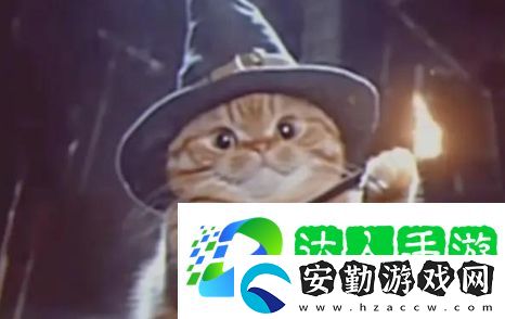魔法貓貓是什么梗網(wǎng)絡(luò)用語