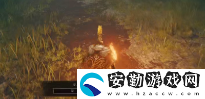 艾爾登法環(huán)鱗片套裝怎么樣