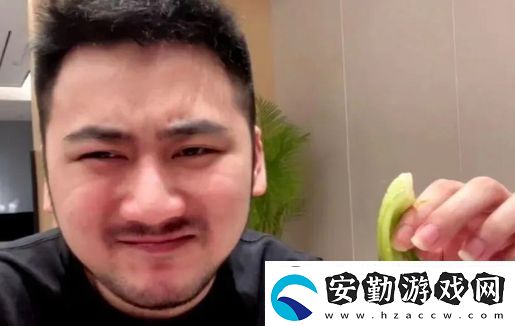 知名CSGO一哥茄子宣布退休