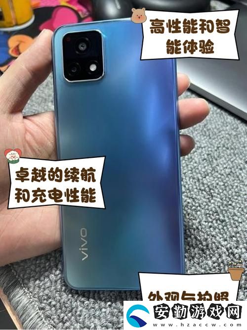 一級(jí)成色好的Y31s標(biāo)準(zhǔn)版