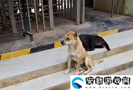 當意外來襲