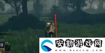 艾爾登法環(huán)鱗片套裝怎么樣