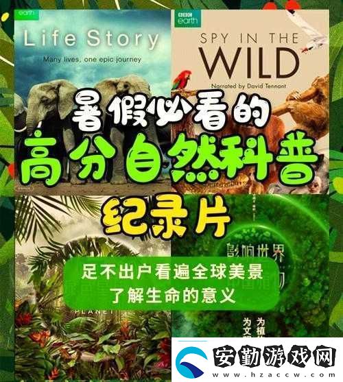 洗1204看片是什么意思為何大家都在討論洗1204看片它有何特別之處
