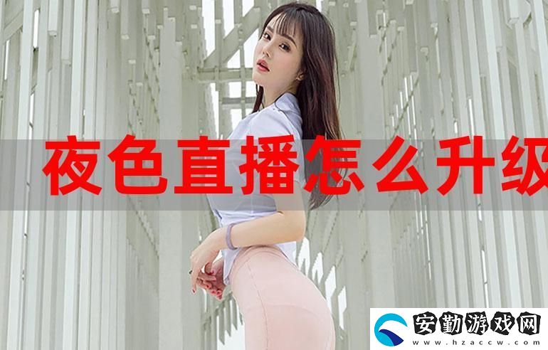 夜色6699tv直播
