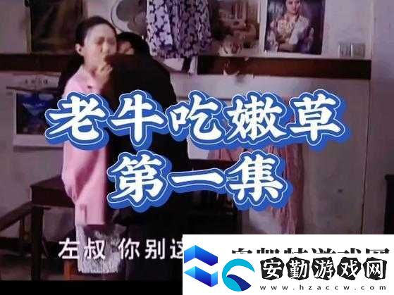 牛牛電影國產(chǎn)一區(qū)二區(qū)究竟有何獨特之處