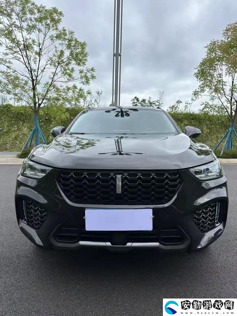 多角度解析weyvv5國產(chǎn)的SUV