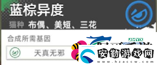 貓之城主題貓怎么獲得