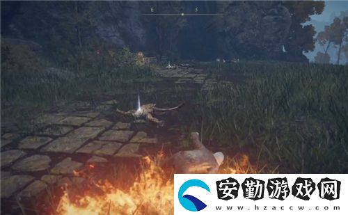 艾爾登法環(huán)接肢飛龍和斧頭哪個好