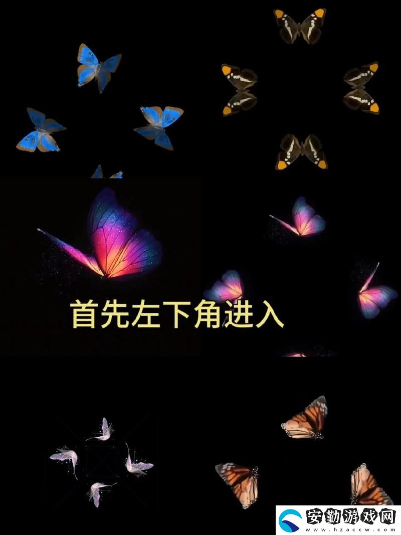 內(nèi)容豐富蝴蝶視頻