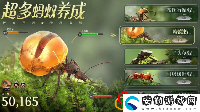 小小蟻國怎么換區(qū)