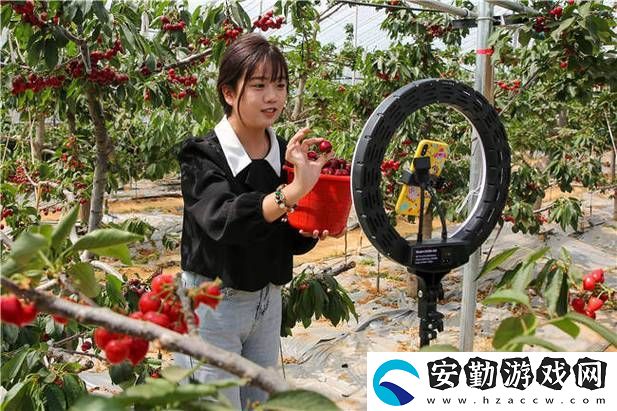 陰桃直播