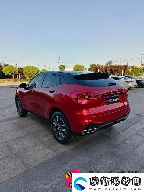 領(lǐng)先科技WEYVV5國產(chǎn)車型