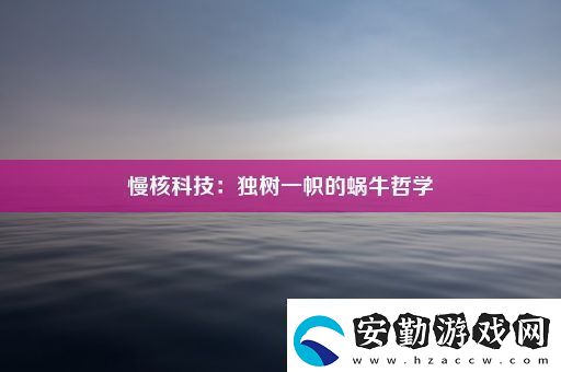 慢核科技