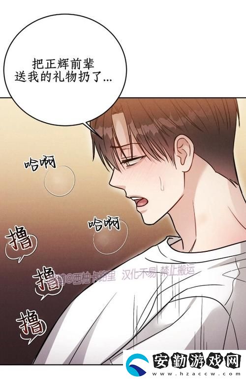 深度解析
