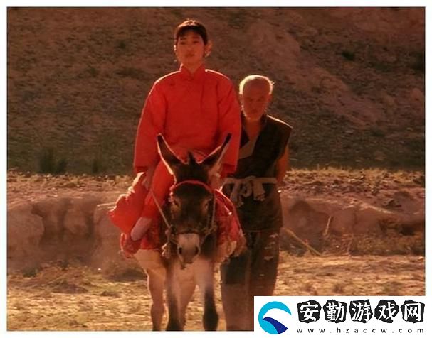 小毛驢影視在線觀看