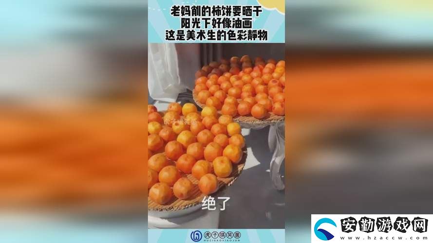 探索“400多個(gè)成品視頻”的創(chuàng)意與價(jià)值