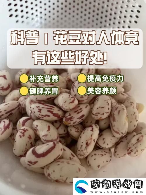 91豆花揭秘