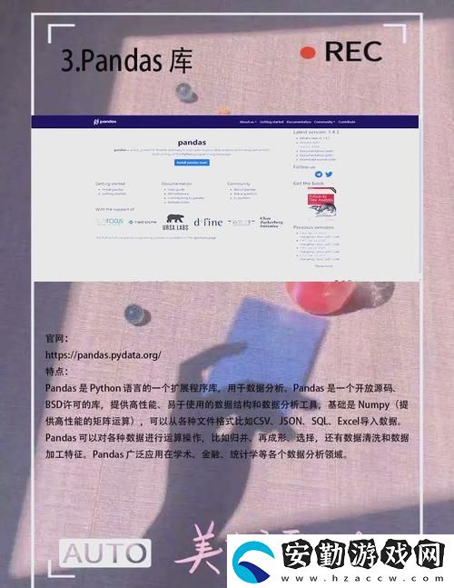 探索“Python人馬獸語錄大全”的智慧與幽默