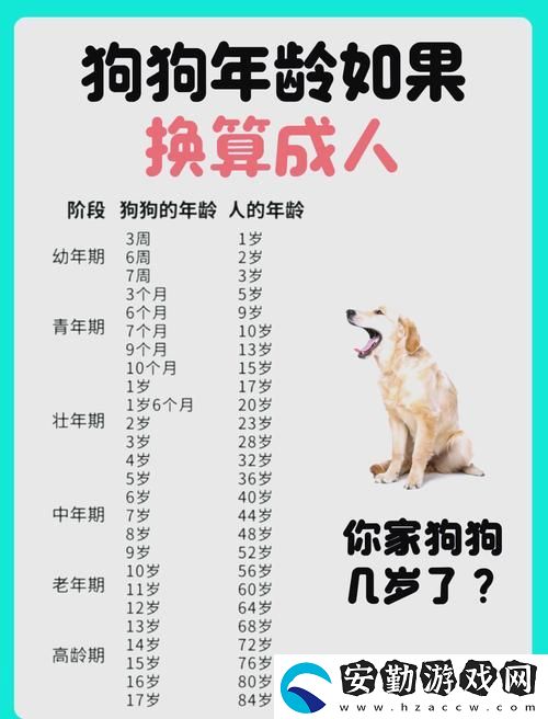 人狗配速45分鐘正常嗎