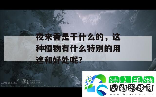 夜來香是干什么的