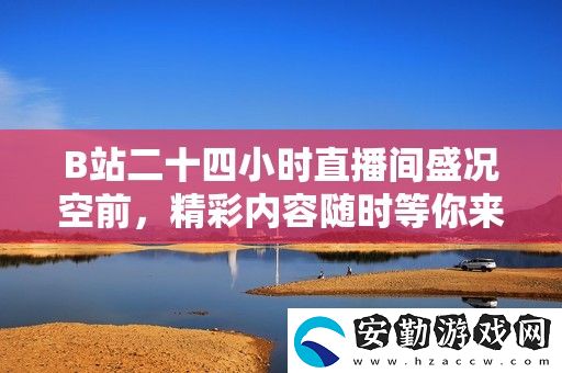 B站二十四小時(shí)直播間盛況空前