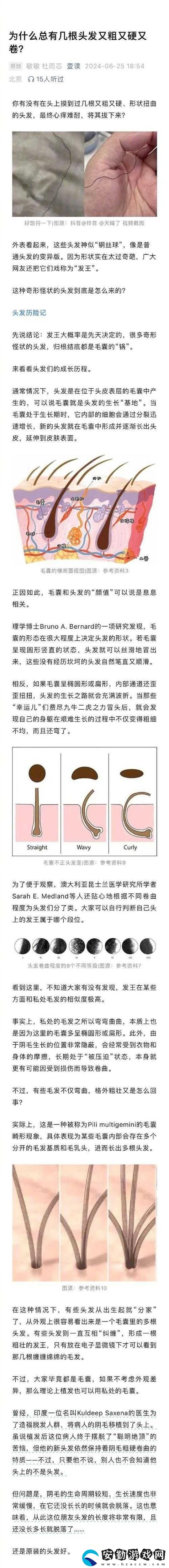 有一根又黑又硬的