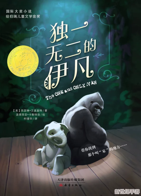 999國產(chǎn)精品久久久久久人與動(dòng)物