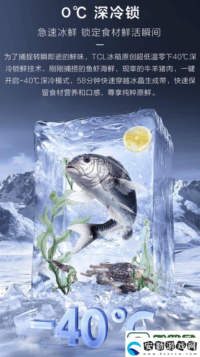 TCL冰麒麟深冷冰箱