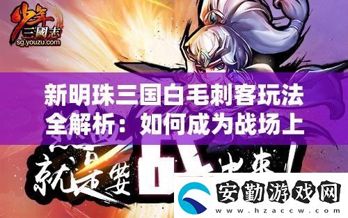 新明珠三國(guó)白毛刺客玩法全解析