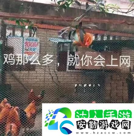這幅畫名字叫我在食堂找不到位置表情包