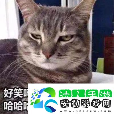 參見(jiàn)老婆表情包