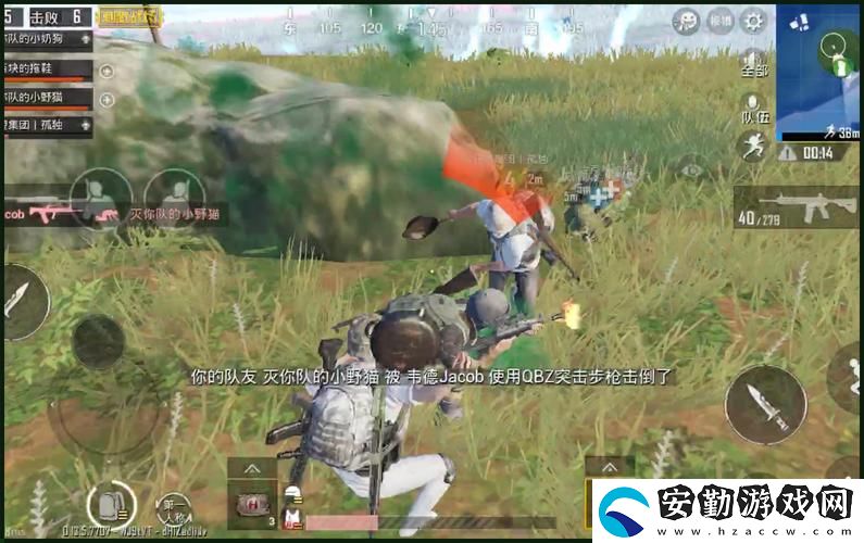 探索國外b站刺激戰(zhàn)場直播app的魅力與潛力