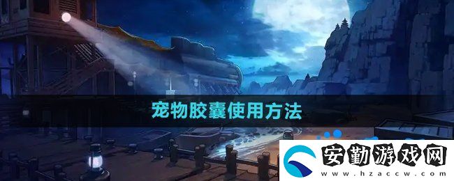 dnf寵物封印膠囊怎么使用
