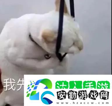 我先去下個世界了表情包