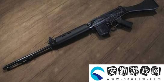 和平精英SLR為什么叫大炮