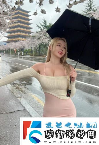 歐美成熟iPhone性能測評