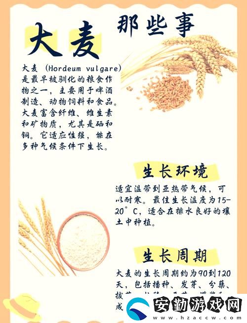 麥子互換背后的意義