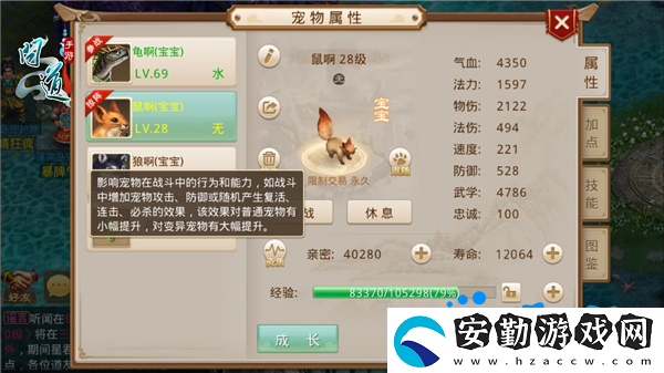 問道手游寵物親密度怎么提升