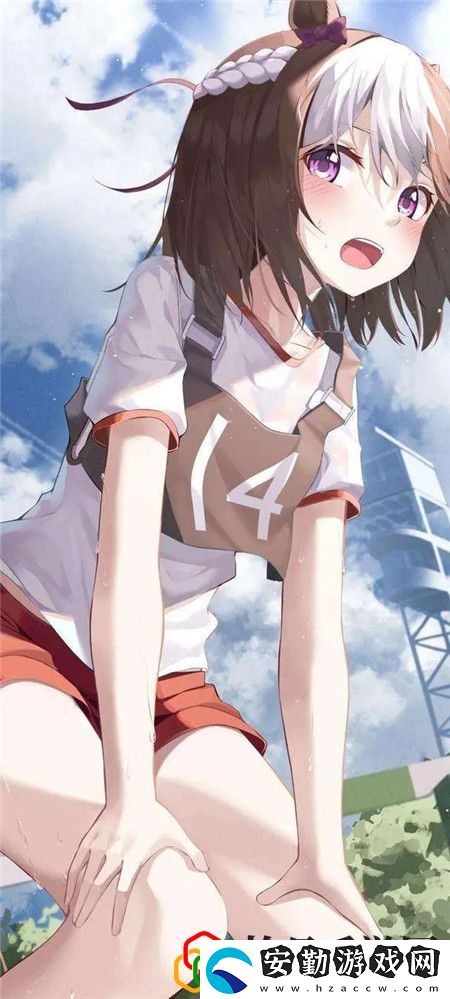 人狗畜禽company